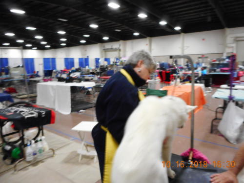 2018 SCHA National-0143