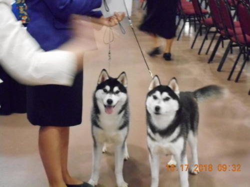 2018 SCHA National -0177