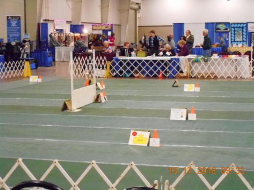 2018 SCHA National -0179