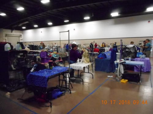 2018 SCHA National -0201