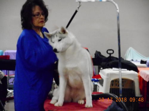 2018 SCHA National-0212