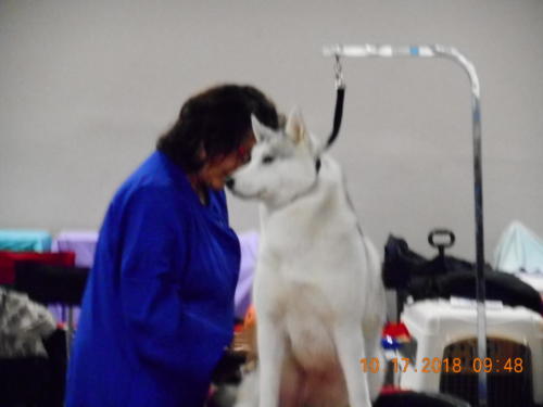 2018 SCHA National -0213