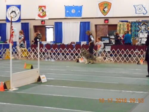 2018 SCHA National -0220