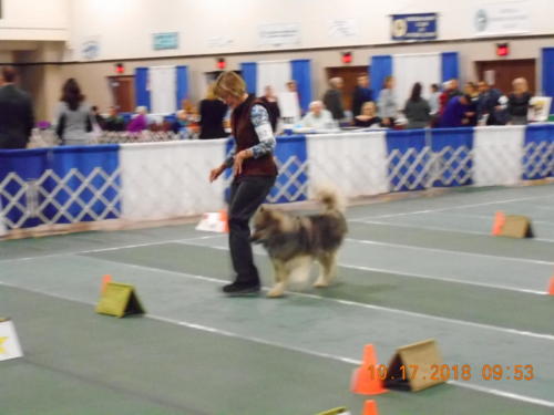 2018 SCHA National -0221