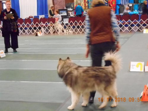 2018 SCHA National -0223