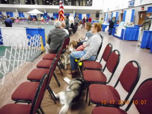 2018 SCHA National -0226b