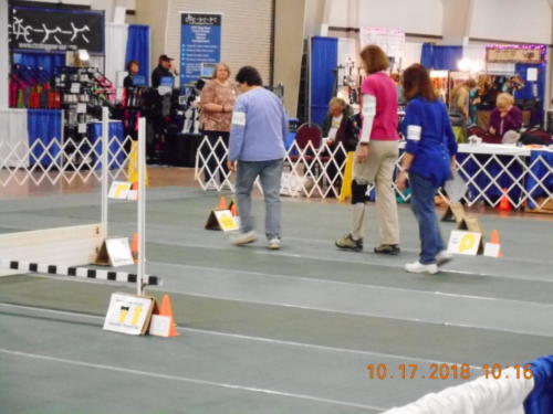 2018 SCHA National -0240