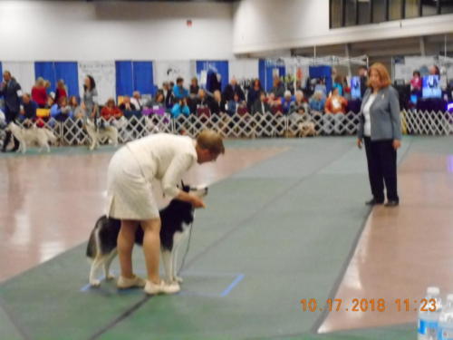 2018 SCHA National -0267