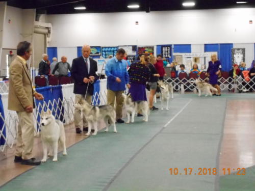 2018 SCHA National -0268