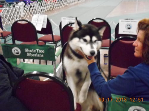 2018 SCHA National -0286