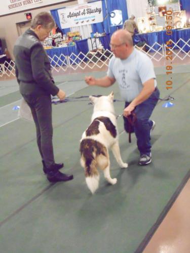 2018-SHCA-Nationa-husky-with-owner-and-judge