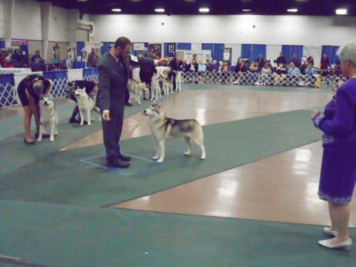 2018-SHCA-National-husky-arena-6