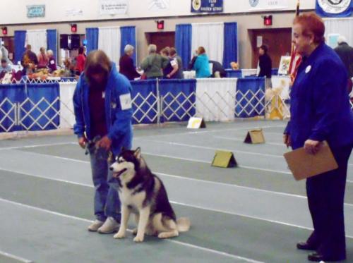 2018-SHCA-National-husky-owner-and-judge