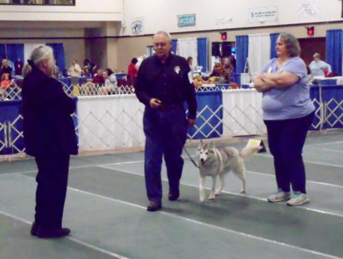 2018-SHCA-National-husky-owner-and-judges