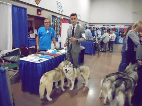 2018-SHCA-National-huskys-wiyh-owner-judging-area